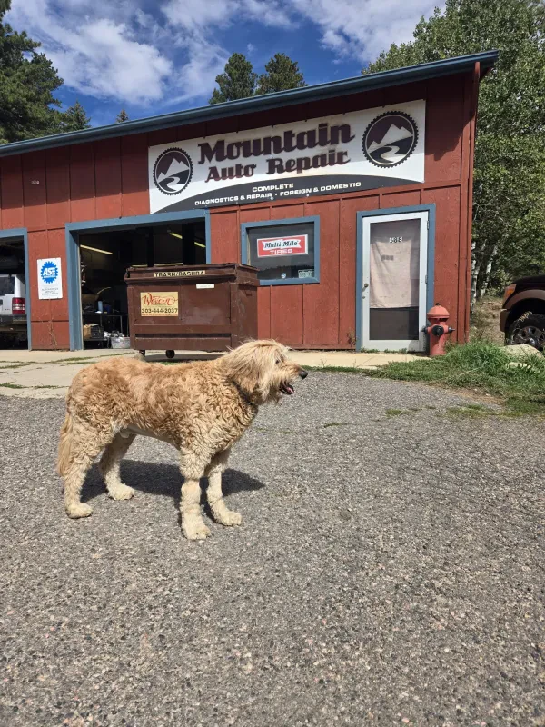 Mountain Auto Repair - photo 4