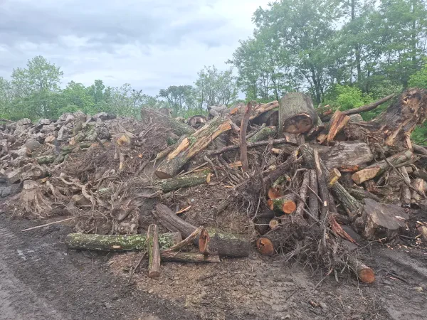Wood Waste Recycling, LLC. - photo 2