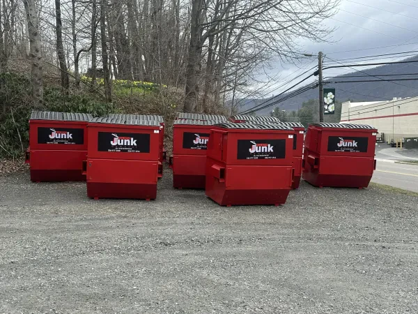 All Star Junk Removal - photo 3