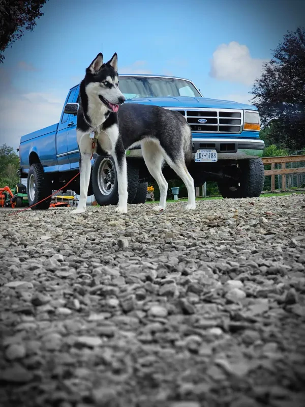 WELCH'S AUTO - photo 3