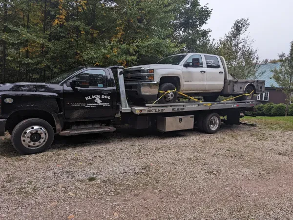 Black Dog Towing and Recovery - photo 2