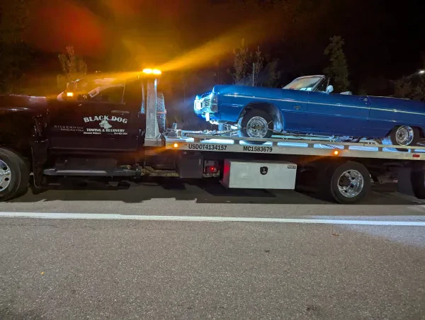 Black Dog Towing and Recovery - photo 4