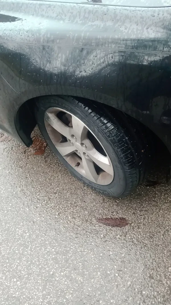 Turner Brothers Car Care Center - photo 4
