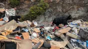 Ketchikan Solid Waste Facility