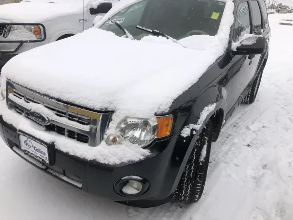 Loveland Auto Auction - photo 4