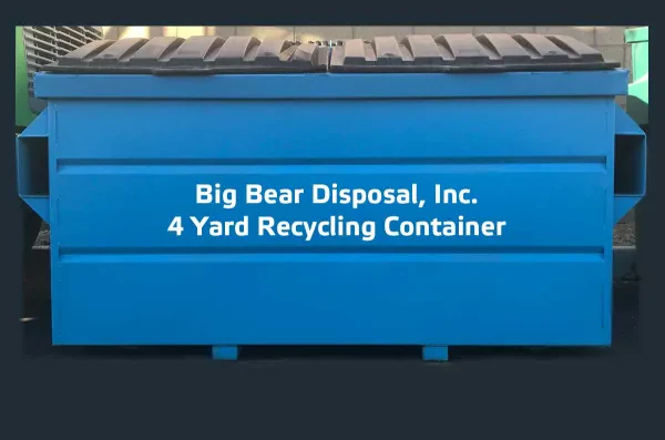 Big Bear Disposal - photo 2