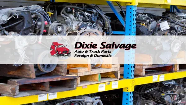 Dixie Salvage - photo 2