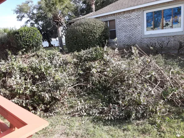 Junk Away, LLC - photo 4