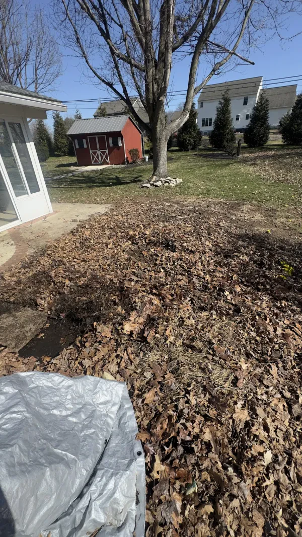 Annie’s Junk Removal And Transport - photo 4