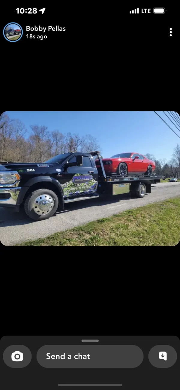 Pellas Automotive LLC - photo 4