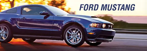 B F Evans Ford - photo 2