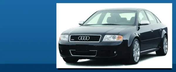 Mountain Service Imports - photo 3