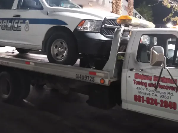 Mojave Birdman Towing - photo 3