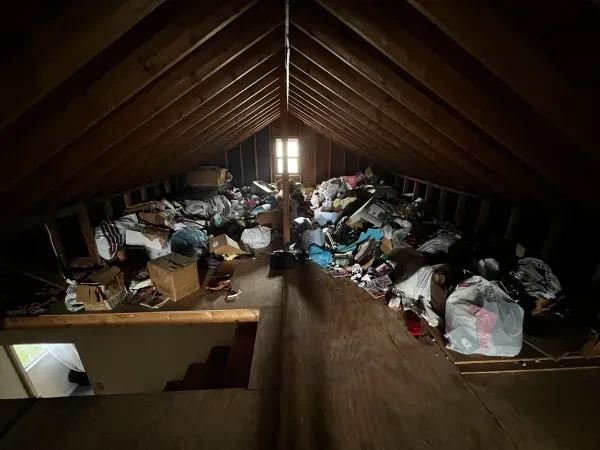 DiFrischia Recycling And Junk Removal - photo 3