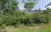 Gibbs Scrap