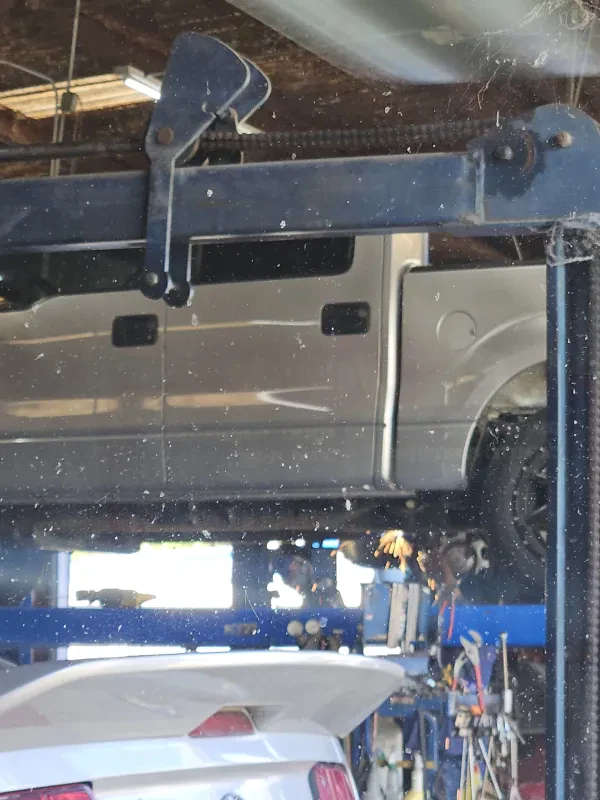 Cajun Muffler - photo 3