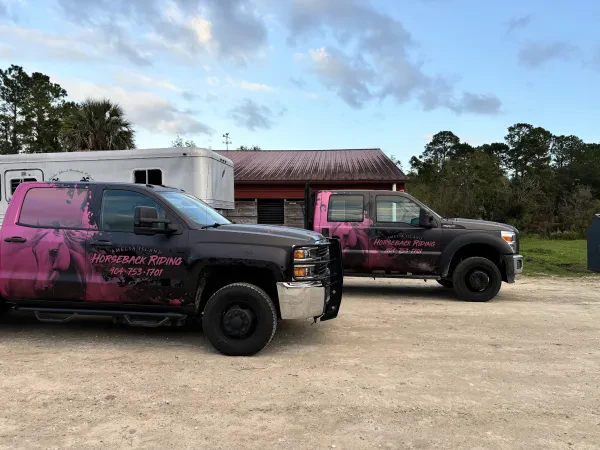 PURE AUTO CENTERS LLC - photo 4