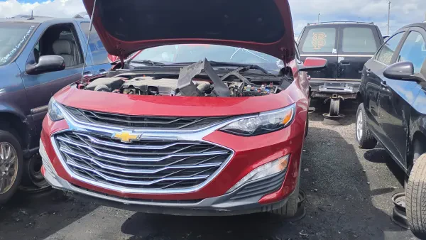 TopDollar Cars Buyers - photo 4