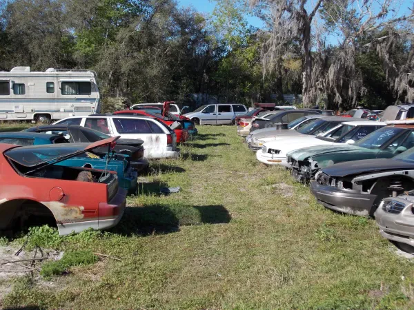 Dale's Auto Parts & Salvage - photo 3