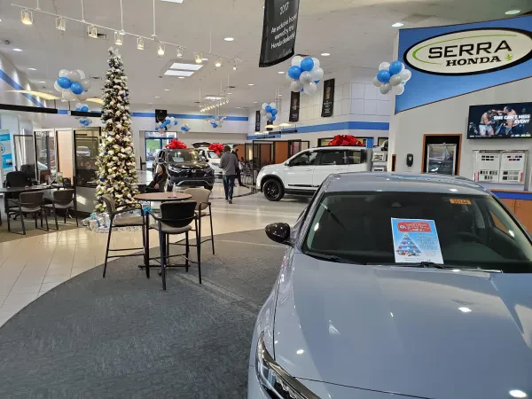 Serra Auto Park - photo 2