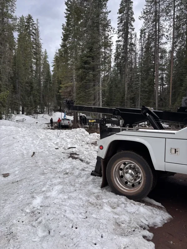 Lassen Auto Body & Towing - photo 4