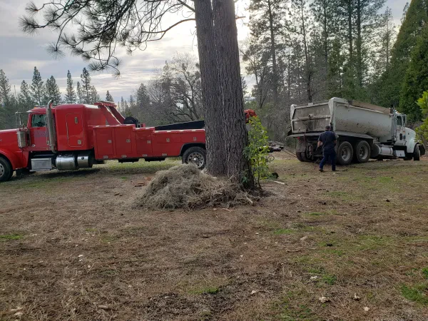 Triple M Towing - photo 3