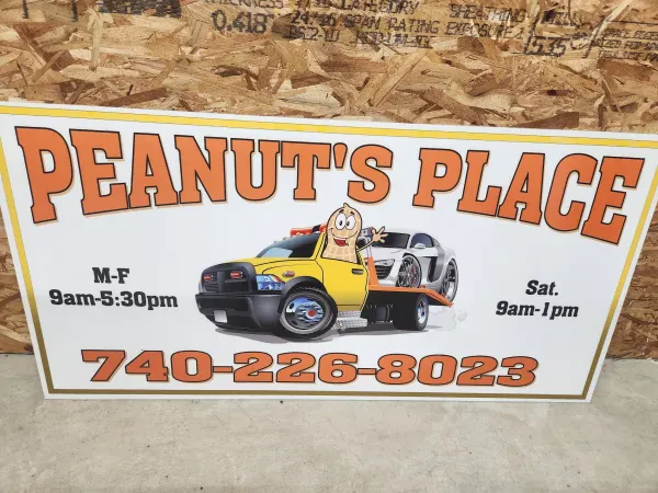 Peanuts place - photo 3