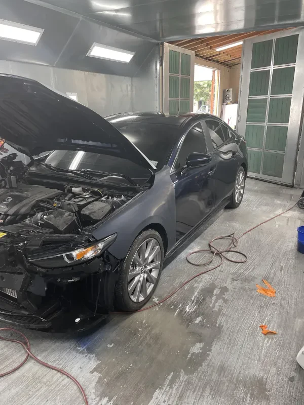 Professional Auto Body Corp. - photo 4