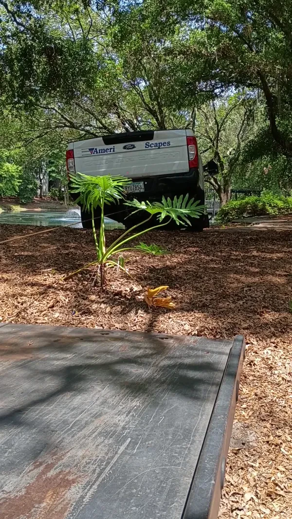904 Express Towing - photo 2