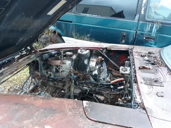 Warrington Foreign Auto Parts, Inc. - photo 4