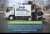 The junk beetles