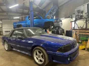 Dewitt Auto Clinic