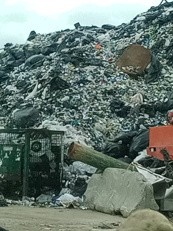 Berkeley Scrap Metal - photo 4