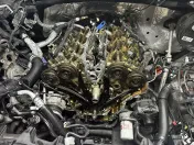 Wolf Den Auto
