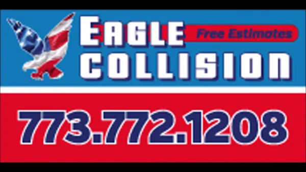 Eagle Collision - photo 2