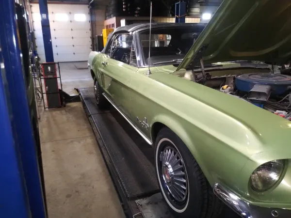 Vinny's Alignment - photo 4