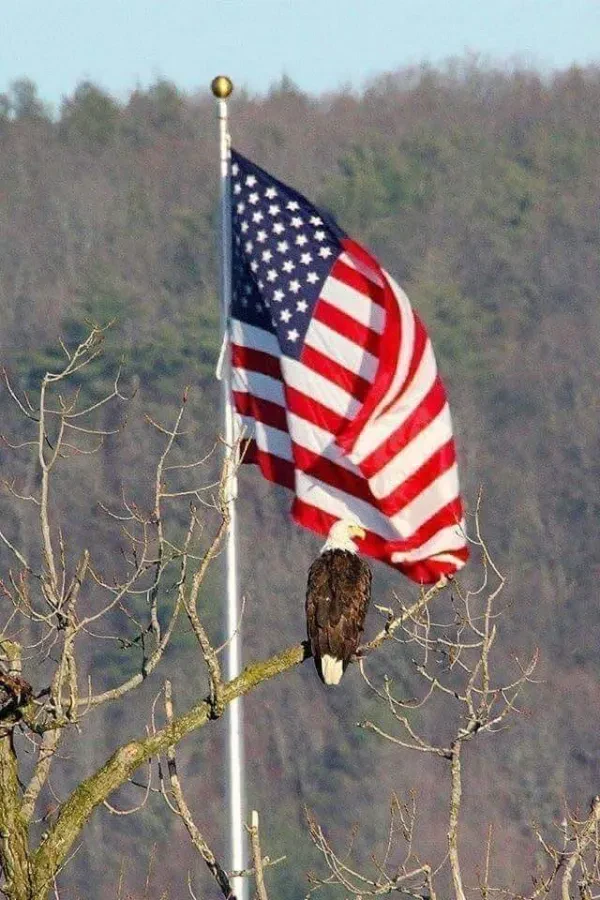 Freedom Towing - photo 2