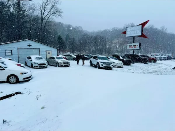 Dooley Automotive - photo 3