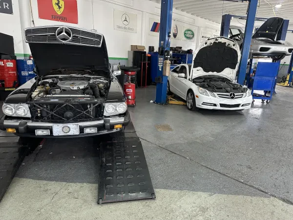 4 Rings European Autowerx - photo 3