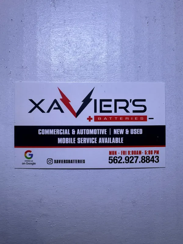 Xavier’s Batteries - photo 3