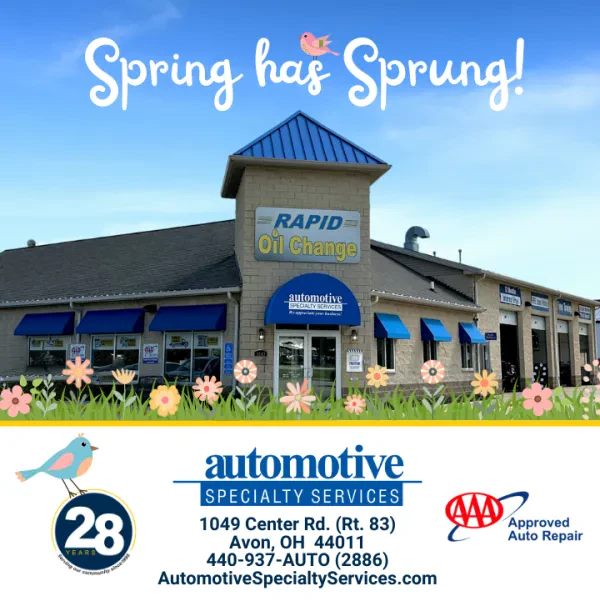Automotive Specialty Services - photo 3
