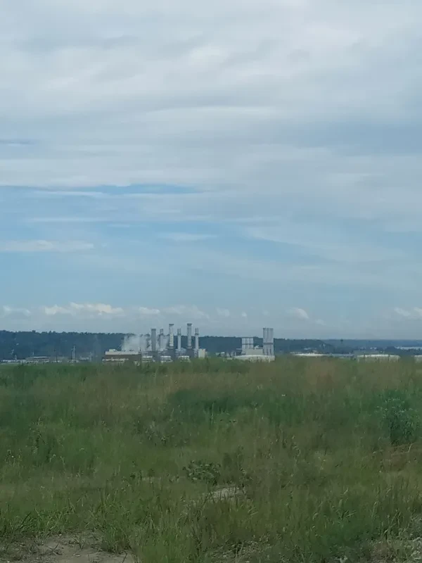 Cherry Island Landfill - photo 4
