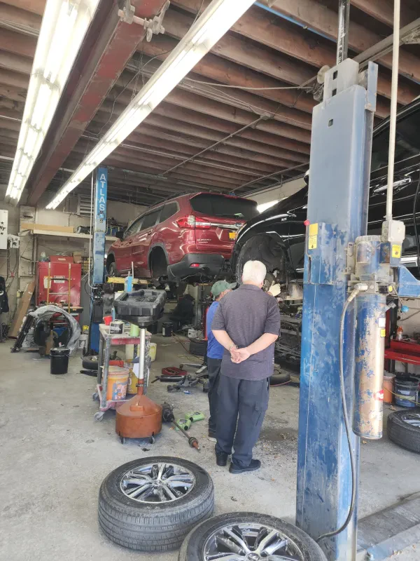 Deer Park Auto Collision Inc. - photo 2