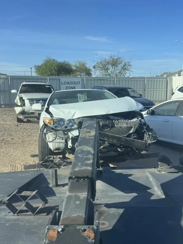 Golden Grizzly towing - photo 4