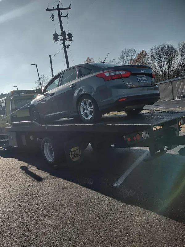Papaleo Towing - photo 3