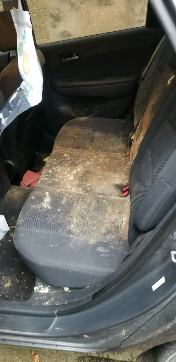 Auto Body Connection LLC - photo 2