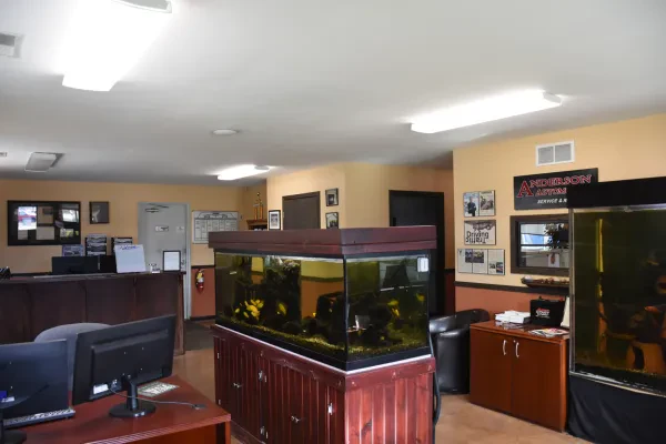 Anderson Automotive - photo 4