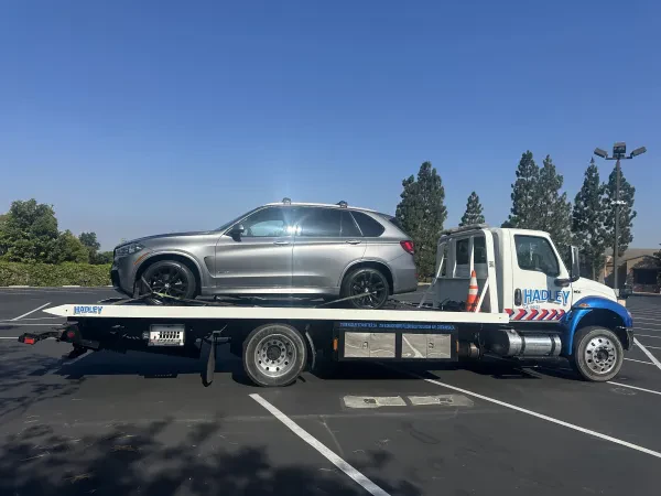Hadley Tow - photo 4