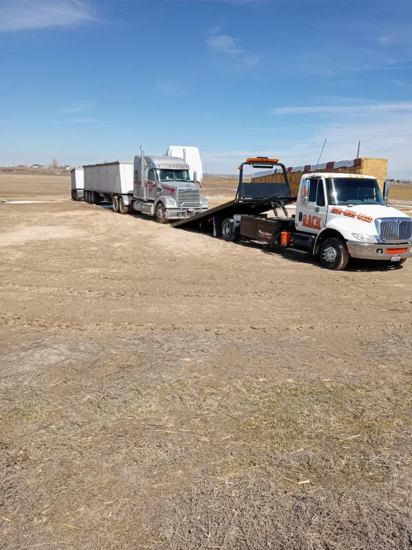Rack Towing - photo 4