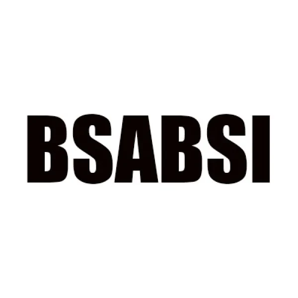 B & S Auto Body Service Inc - photo 4